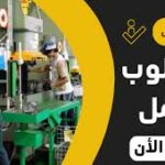 التقديم علي وظيفة جامعة القصيم وظائف اعضاء هيئة تدريس لغير السعوديين في  القاهرة, مصر